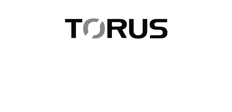 Torus